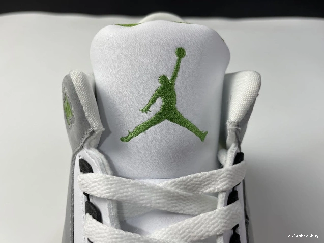 136064-006 3 Jordan Retro Chlorophyll Air 0811